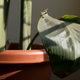 Illustration for article titled Panasonic LX100 Review: A Small Camera So Good At So Many Things